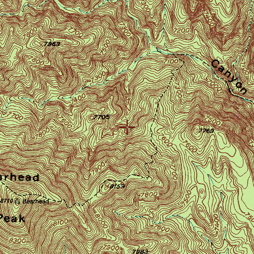 Topographic Map of Benson Claim, NM