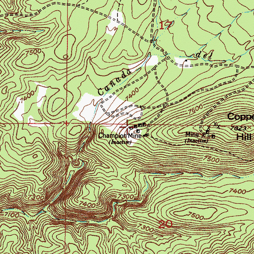 Topographic Map of Champion Mine, NM