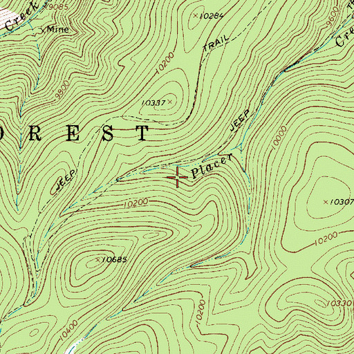 Topographic Map of Buffalo Mine, NM