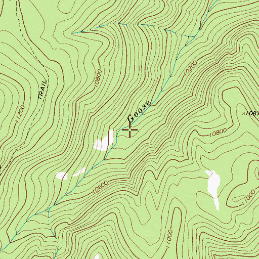 Topographic Map of Golden Goose, NM