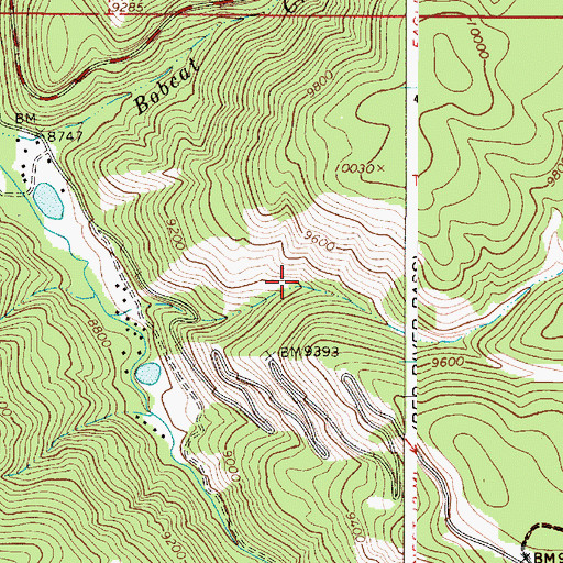 Topographic Map of Ragged Pants Dick Prospect, NM