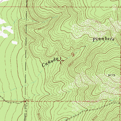 Topographic Map of Revelation Manganese D Mine, NM