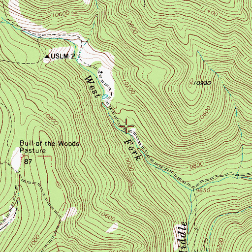 Topographic Map of Mammoth Placer, NM