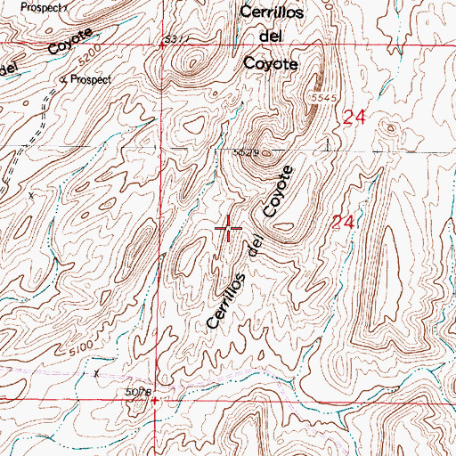 Topographic Map of El Coyote, NM