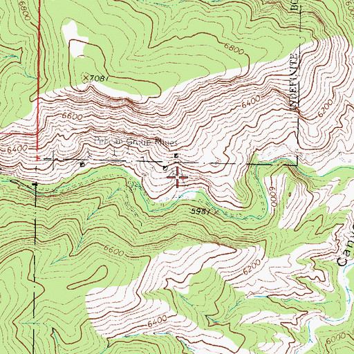 Topographic Map of Argonaut, NM