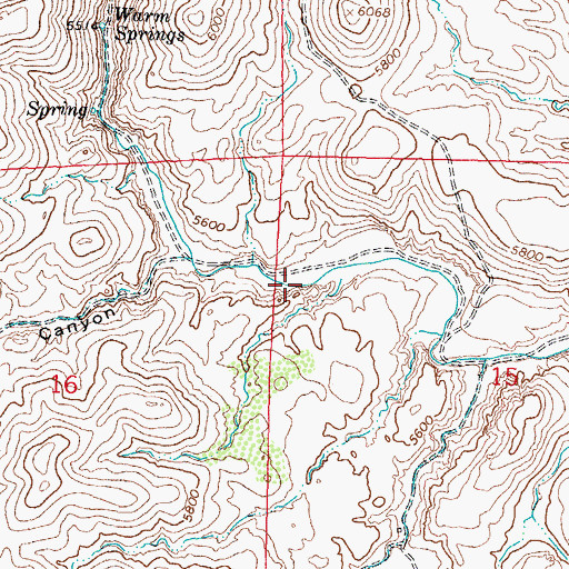 Topographic Map of Sierra Cuchillo, NM