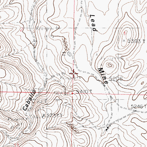 Topographic Map of Napolean- Rosa Lee Group, NM