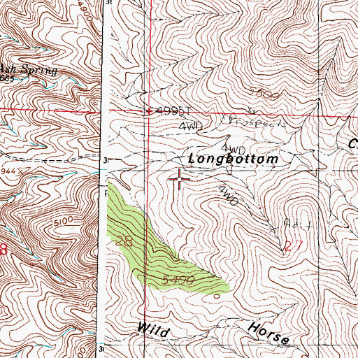 Topographic Map of Flouride Prospect, NM
