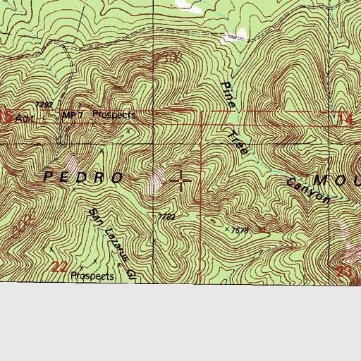 Topographic Map of Birds Eye, NM