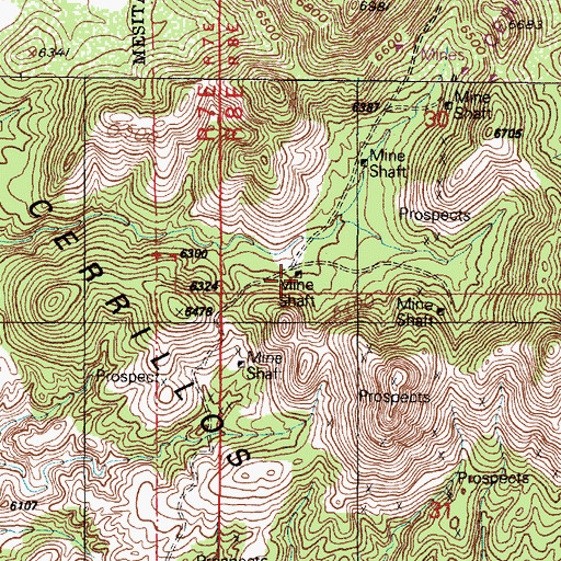 Topographic Map of Black Hornet Prospect, NM