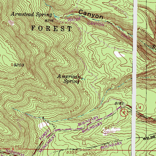 Topographic Map of American Spring, NM