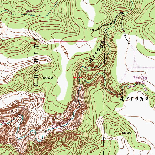 Topographic Map of Arroyo Colorado, NM