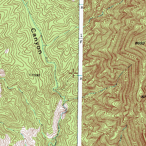 Topographic Map of Bland Bear Springs Trail, NM