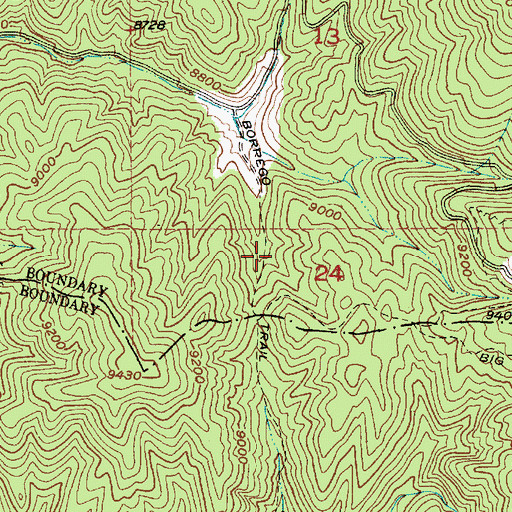Topographic Map of Borrego Trail, NM