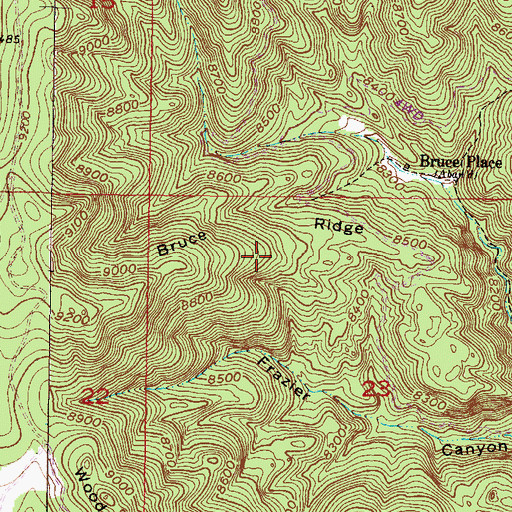 Topographic Map of Bruce Ridge, NM