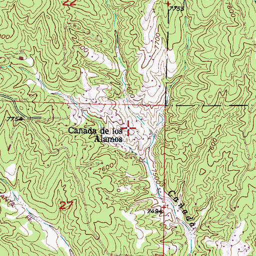 Topographic Map of Caada de los Alamos, NM