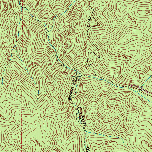 Topographic Map of Caon del Oso, NM