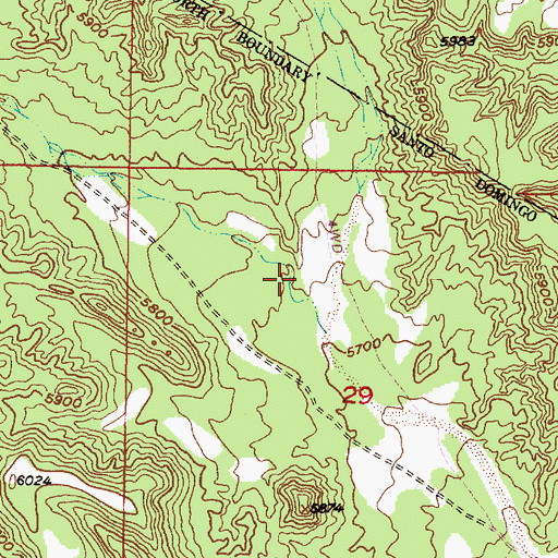 Topographic Map of Caon Seguro, NM