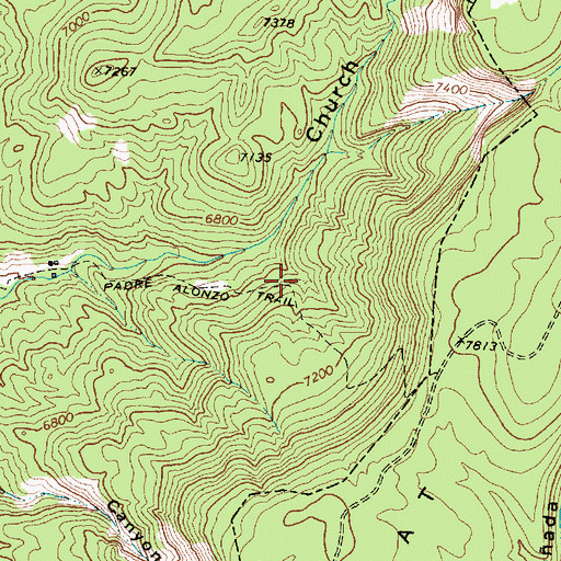 Topographic Map of Cat Mesa, NM