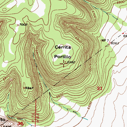 Topographic Map of Cerrita Portillo, NM