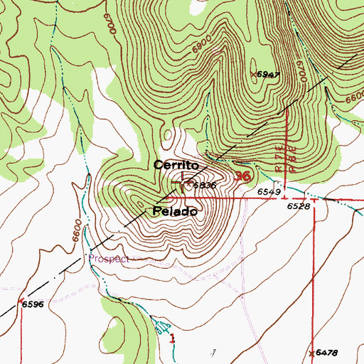 Topographic Map of Cerrito Pelado, NM