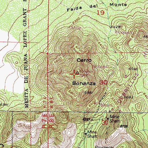 Topographic Map of Cerro Bonanza, NM