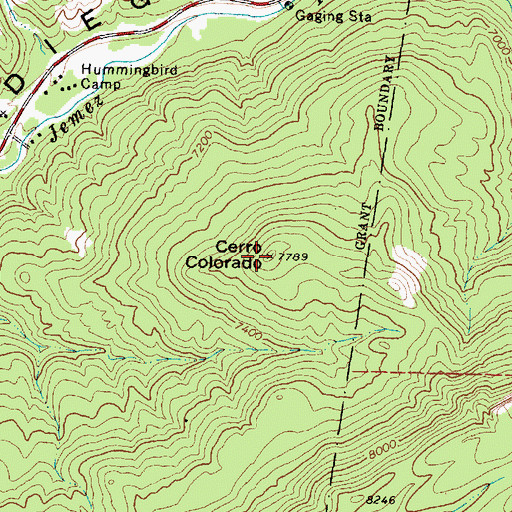 Topographic Map of Cerro Colorado, NM