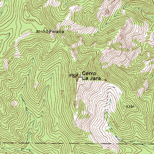 Topographic Map of Cerro la Jara, NM