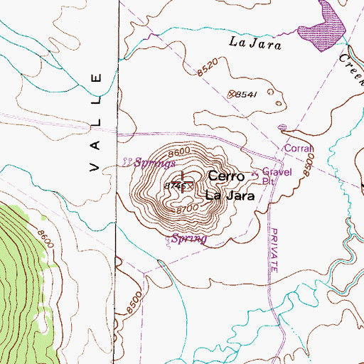 Topographic Map of Cerro la Jara, NM