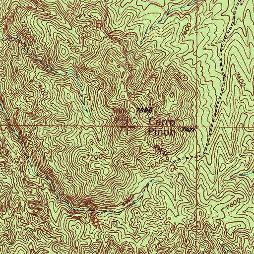 Topographic Map of Cerro Pion, NM