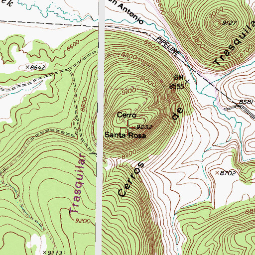 Topographic Map of Cerro Santa Rosa, NM