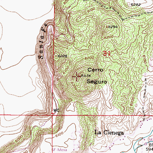 Topographic Map of Cerro Seguro, NM