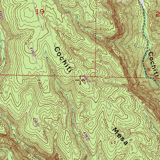 Topographic Map of Cochiti Mesa, NM
