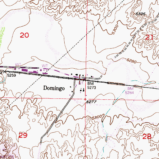 Topographic Map of Domingo, NM