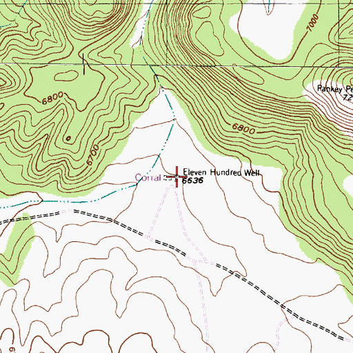 Topographic Map of Eleven Hundred Well, NM