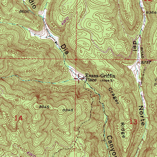 Topographic Map of Evans-Griffin Place (historical), NM