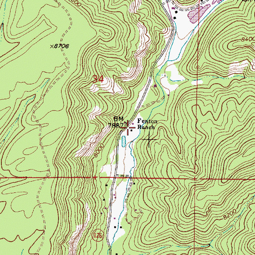 Topographic Map of Fenton Ranch, NM