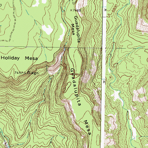 Topographic Map of Guadalupita Mesa, NM