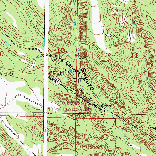Topographic Map of La Jara Canyon, NM