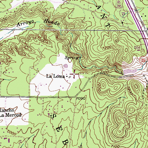 Topographic Map of La Loma, NM