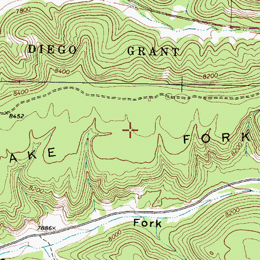 Topographic Map of Lake Fork Mesa, NM