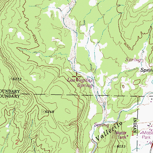 Topographic Map of Las Vegitas Spring, NM