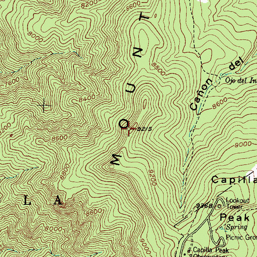 Topographic Map of Manzano Mountains, NM