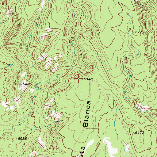 Topographic Map of Meseta Blanca, NM