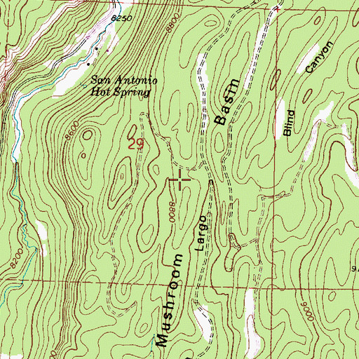 Topographic Map of Mushroom Basin, NM