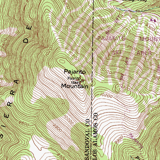 Topographic Map of Pajarito Mountain, NM