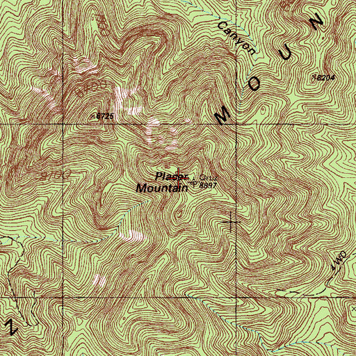 Topographic Map of Placer Mountain, NM