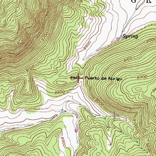 Topographic Map of Puerto de Abrigo, NM