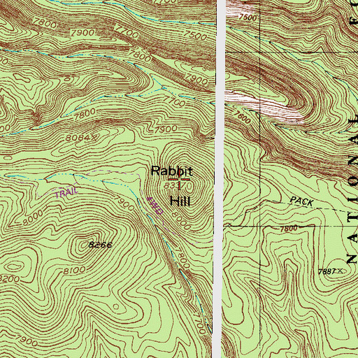 Topographic Map of Rabbit Hill, NM