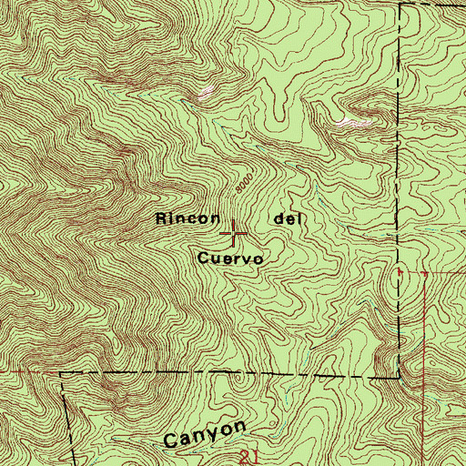 Topographic Map of Rincon del Cuervo, NM